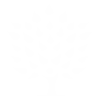 Begräbnisforst Thale Friedhofsverwaltung